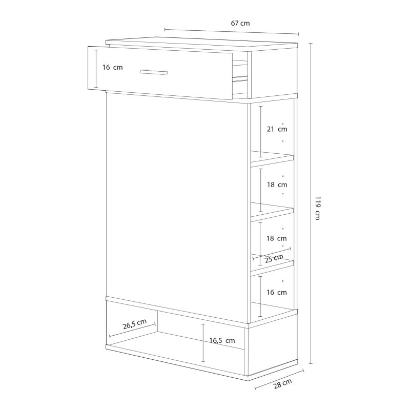 Armario multiusos 67x119